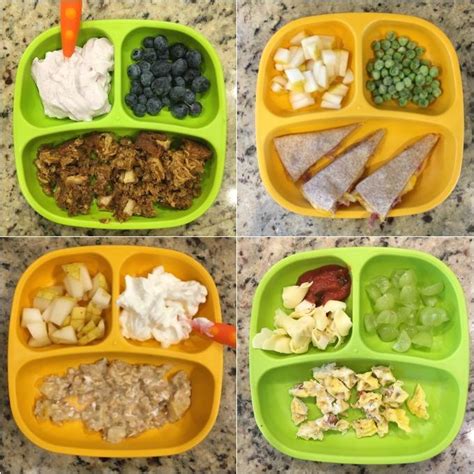 What should a 5 year old eat for lunch?